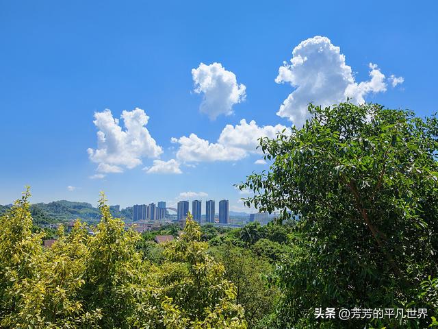 大湾区晨画
