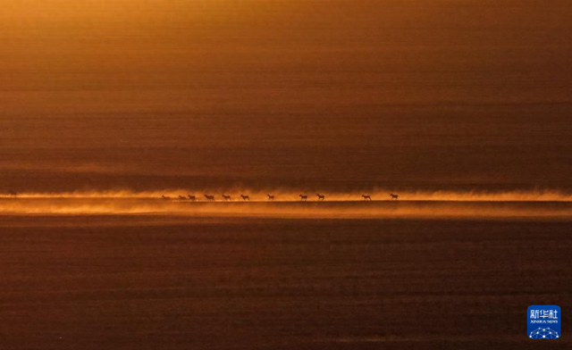 走进阿尔金山 镜遇秘境昆仑