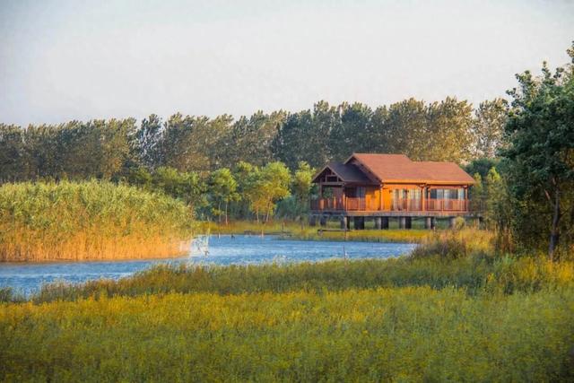 这样的张家港,我“All in”了!