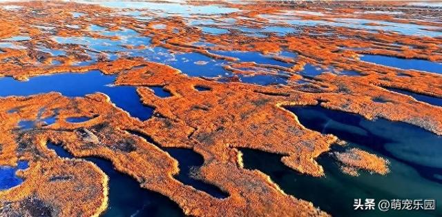 黄昏降临台特玛湖，夕阳沉落芦苇荡，整片水域宛如瑰宝