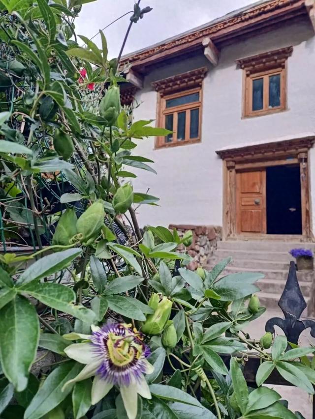 法国女士隐居云南深山15年：厌倦打工，想在中国好好生活