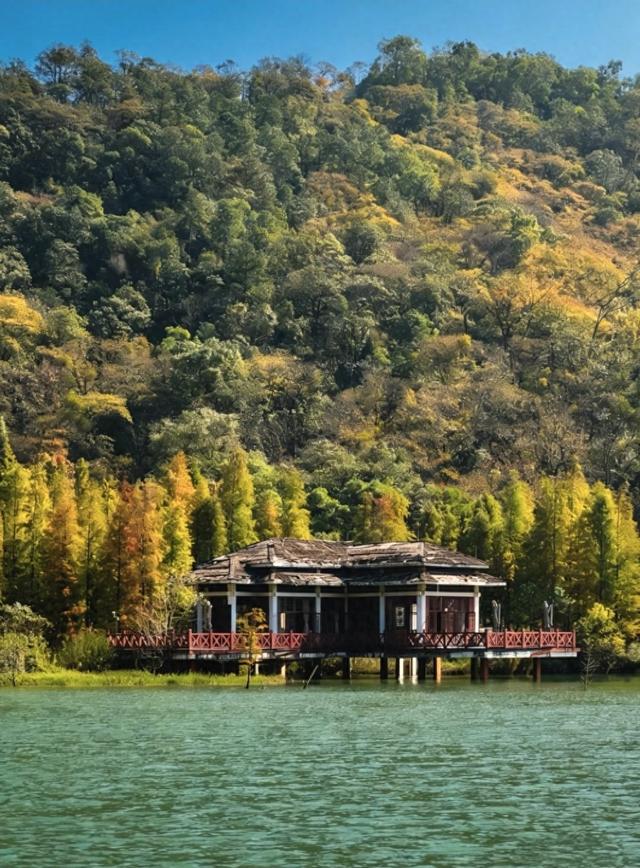 广州人逛了江门和中山，直言不讳：江门和中山人根本是两种活法！