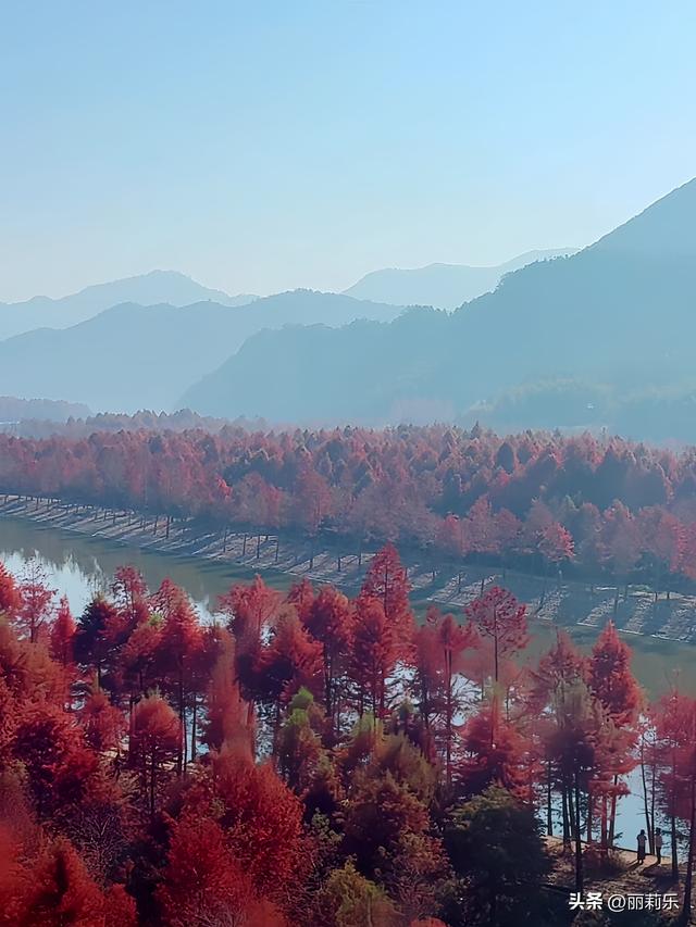 这个冬天，我撞见了一整片燃烧的森林