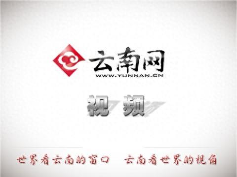 暮色中的抚仙湖：芦花摇曳 湖漾金光