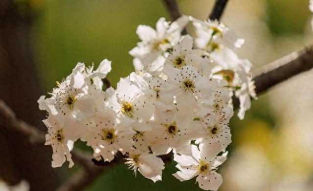 清明小长假，兰州周边撒欢指南！赏花烧烤划船，邂逅甘肃小洱海