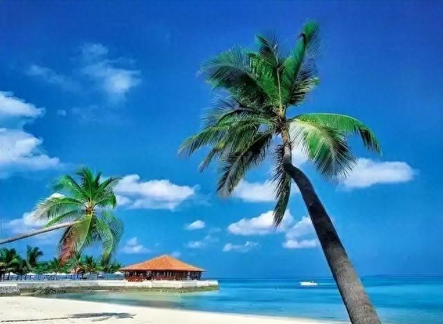 为何北京人爱琼海	，东北人占三亚？候鸟地图有玄机！