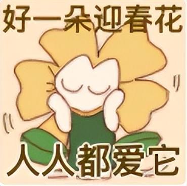 行花街啦！佛山五区花市，你今年冲哪个？