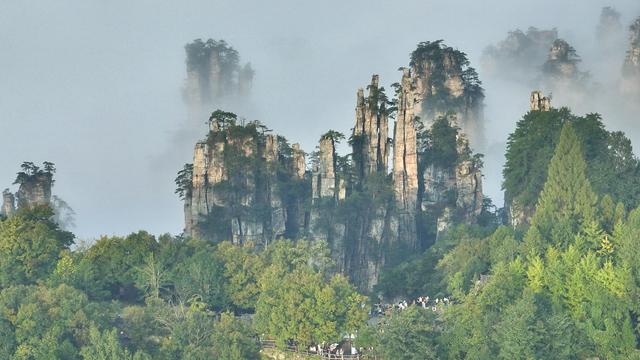 国庆游张家界|武陵源：云上奇峰天子山