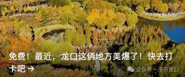 确定了，龙口5个区域！速来打卡