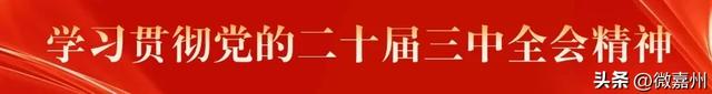 第九届荔枝旅游文化节甜蜜启幕！乐山悦来擦亮“中国最北荔枝”金字招牌