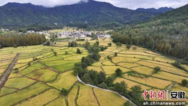 皖南塔川村多元业态点靓乡村秋韵