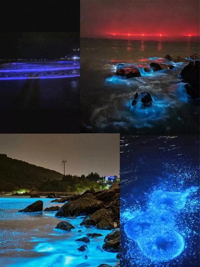 平潭岛夜光藻蓝海奇观！此生必看的荧光海浪秘境！