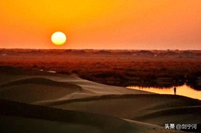 好诗大家读 河西走廊的植物(外三首)