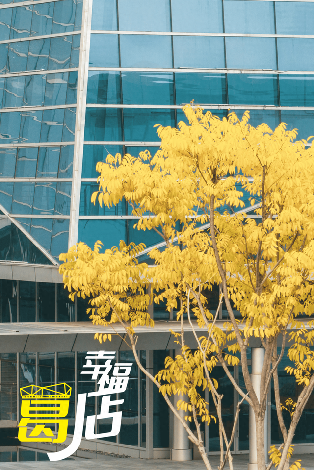 葛店这条“黄金大道”再不看就晚了！