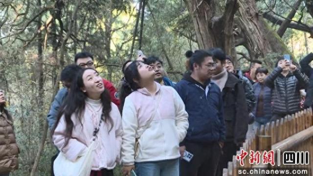 50余名网络作家走进广元剑阁采风创作