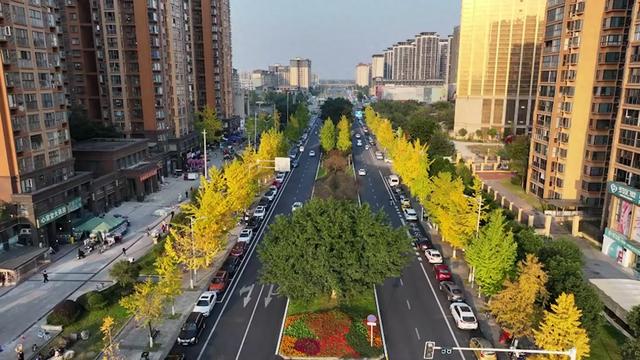 落叶缓扫 在彭州遇见金色浪漫