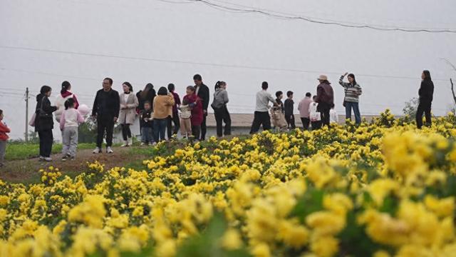 文旅融合焕发活力 文旅市场持续升温