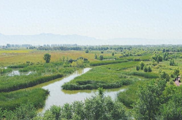 山西桑干河国家湿地公园：昔日风口黄沙地 今朝塞上新绿洲