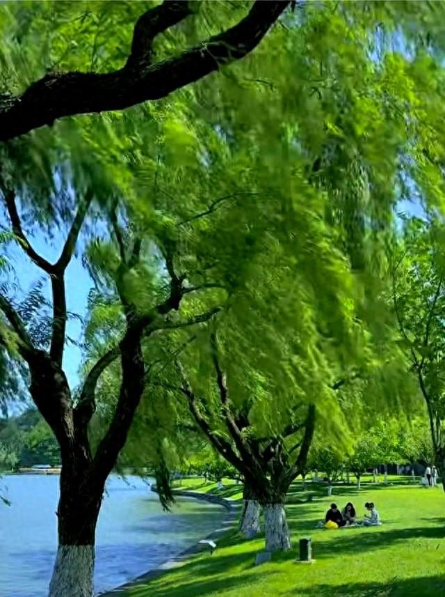 微风轻轻地吹(二十)