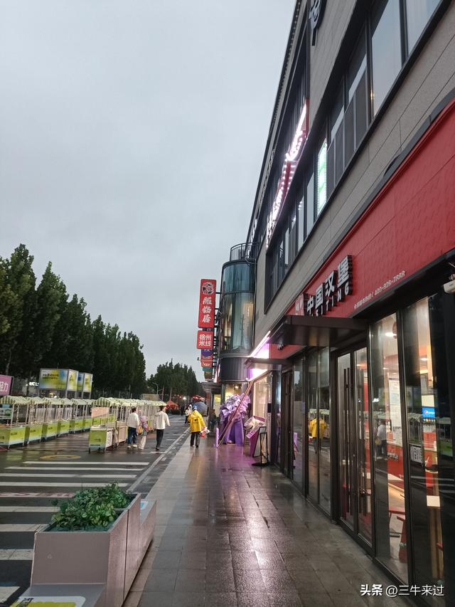 无为在歧路，国庆游淄博6