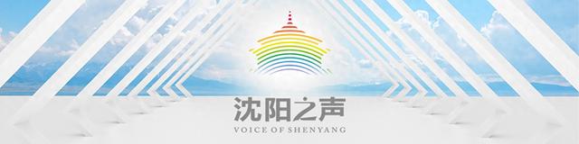 2025沈阳机器人大会定档！