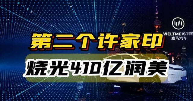 一夜负债200亿？电动车巨头轰然倒塌：终于活成贾跃亭了信徒