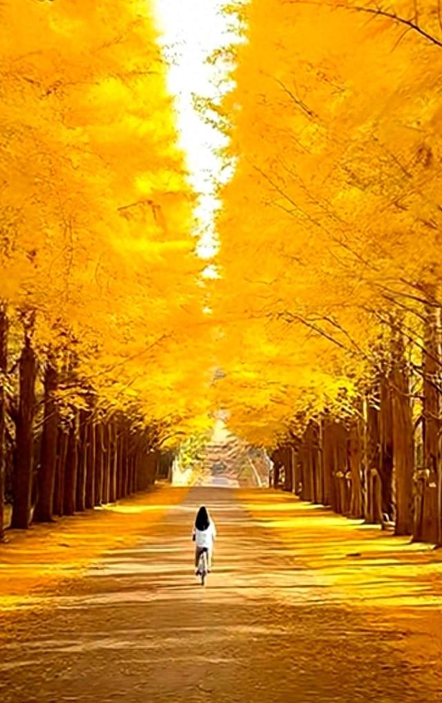 太极进步最快的方法：觉察