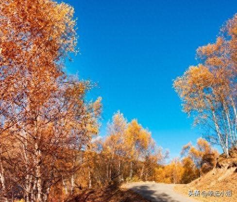 川西新晋天路！金小路美哭，速冲！