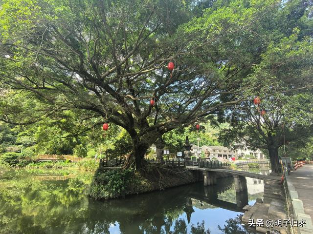 浙山浙水：玉苍山下的大宋流风