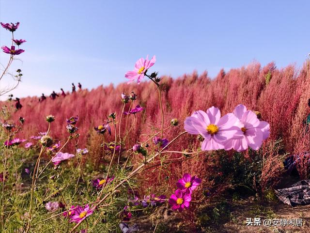 深秋之游——五大连池，因为它的博大，才有苍凉之美的深远