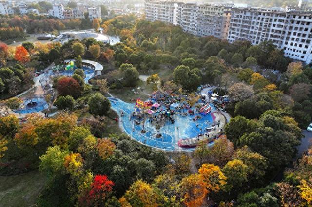 江西会昌：湿地公园冬景美