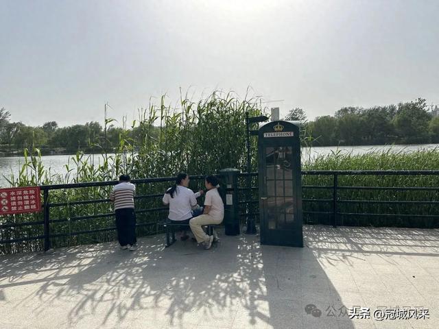 生活在冠县这座小城