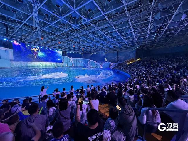 赴海洋之约！来看青岛极地海洋公园鲸豚保育员与海洋精灵双向奔赴的故事→