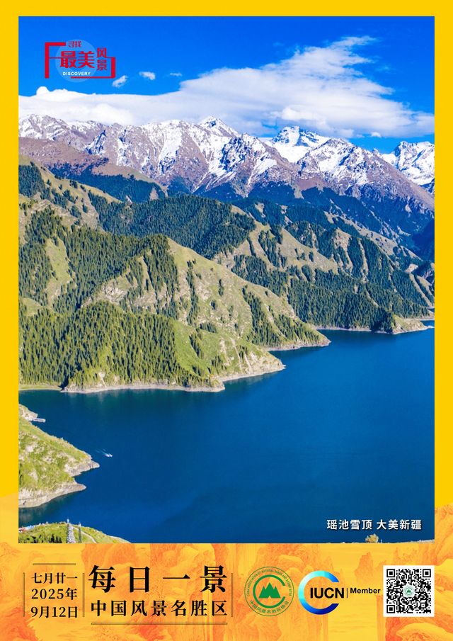 每日一景 | 瑶池雪顶 大美新疆