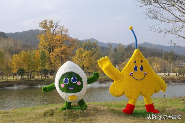 湖北随州，千年银杏谷 自然与人文的诗意交响