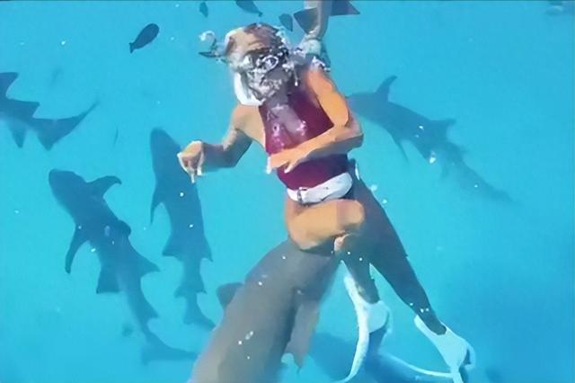 从伤口到视频，中国游客马尔代夫遇险，谁在导演“玩命式创作”