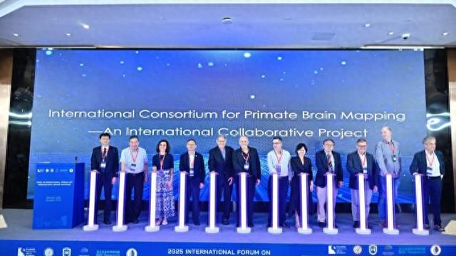 为脑部疾病研究提供“加速度”，国际灵长类介观脑图谱联盟在沪成立