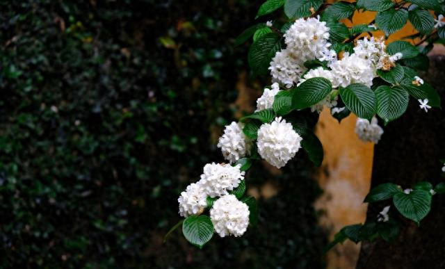 一定要少说话，少说话