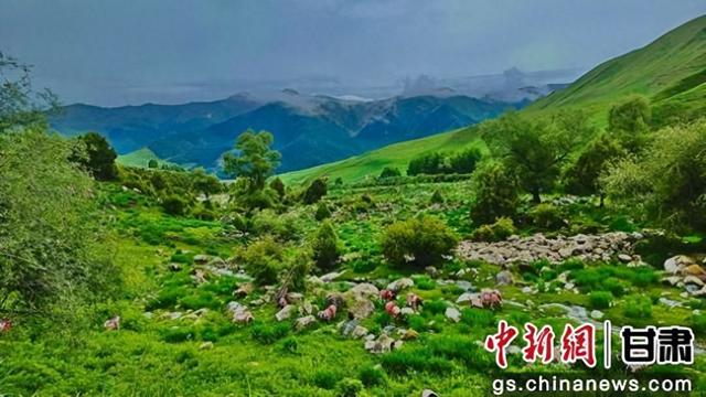 中新武威观丨毛藏初秋：斑斓山水间的温柔诗意