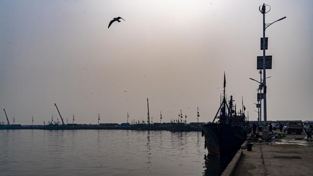 大连金州：中国北方最大的国家级渔港