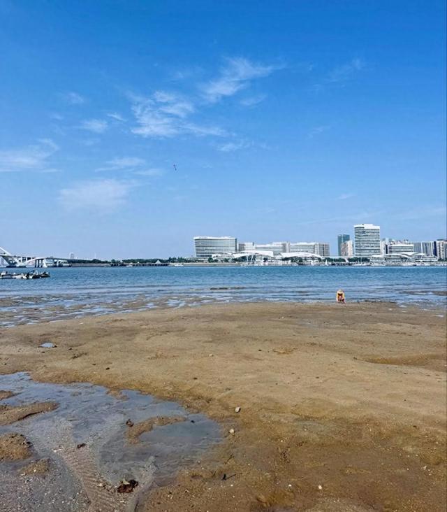 厦门岛内赶海宝藏地点推荐，五缘湾沙滩，黄厝海滨浴场，不可错过