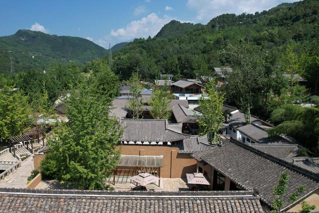 新华全媒＋｜嘉陵江畔千年银杏唤醒古村文旅新篇