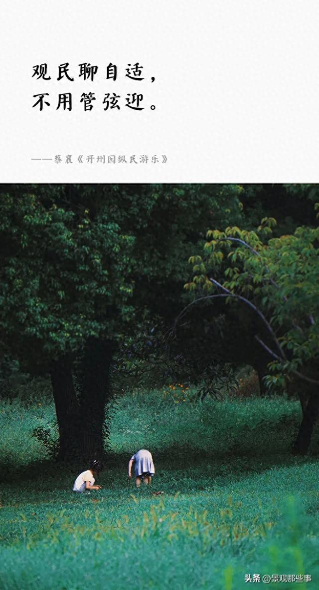 苏州的回忆：大公园
