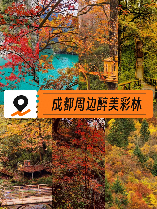 成都周边一日往返，6个小众不废腿的彩林秘境，0门票！