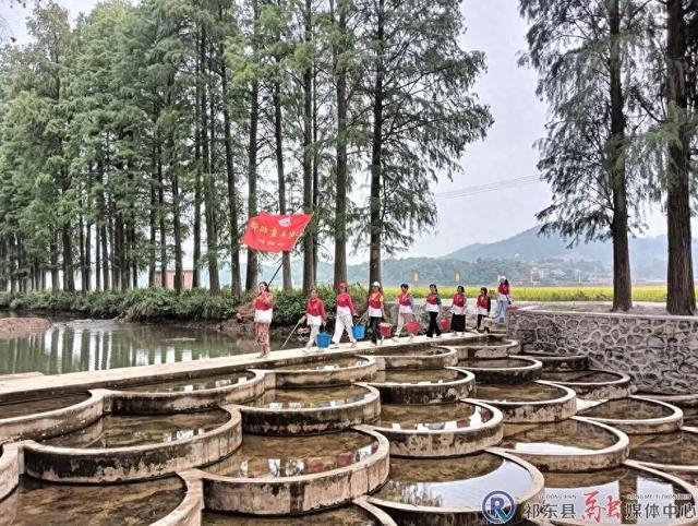白地市：“志愿红”守护“生态绿”