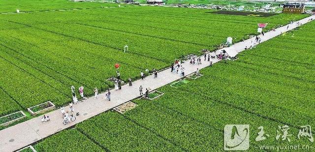 文化中国行｜夏日美景引客来
