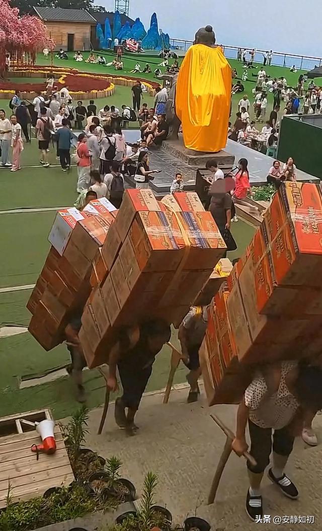 老君山15元泡面背后承载着一家老小的生命钱