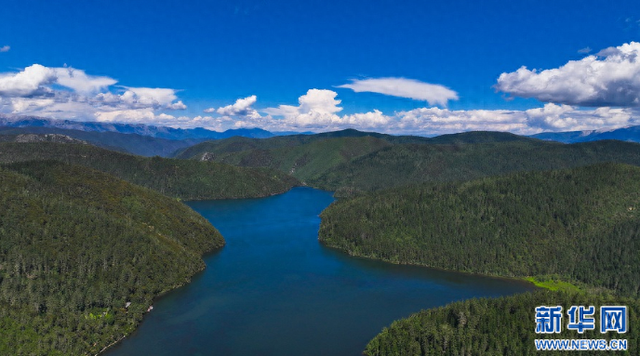 来迪庆普达措景区，感受夏日清凉
