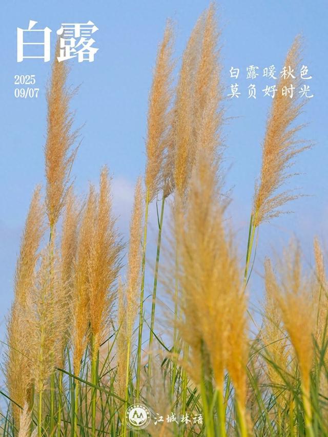 今日白露，武汉的秋天真的来了，超出片！然后，满城桂花香！