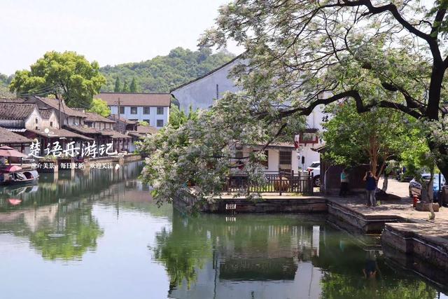 浙江绍兴这条历史街区很低调，但水乡风情浓郁，苦楝花美不胜收